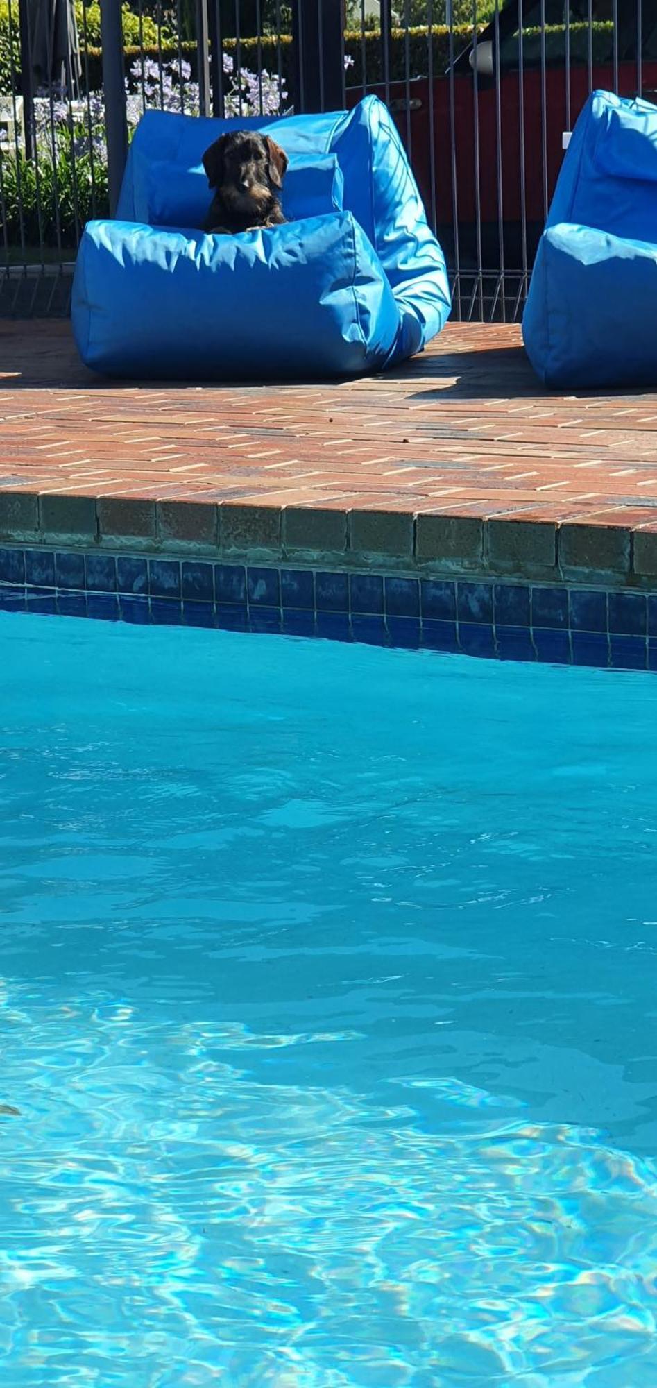 Parkview Motor Inn And Apartments وانغاراتتا المظهر الخارجي الصورة